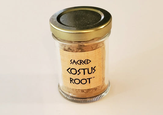 COSTUS ROOT
